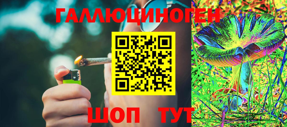 Псилоцибиновые грибы MAGIC MUSHROOMS  Вход с VPN  Саранск 