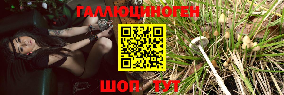 Псилоцибиновые грибы мухоморы Саранск